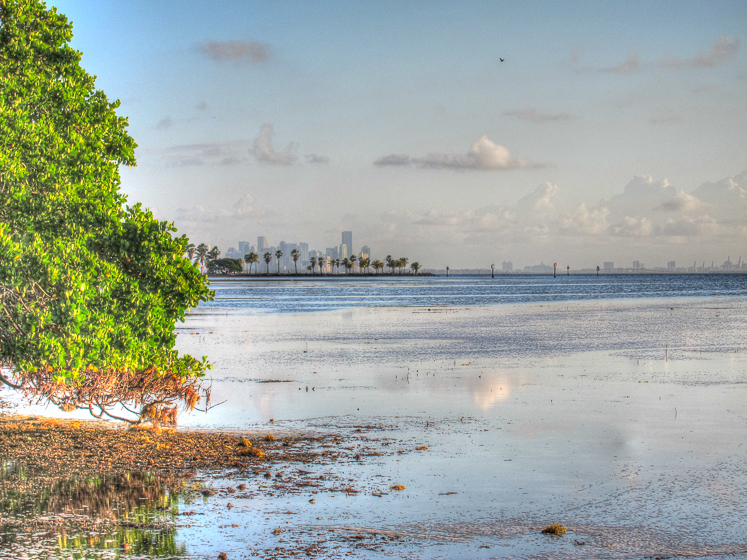 biscayne bay 2
